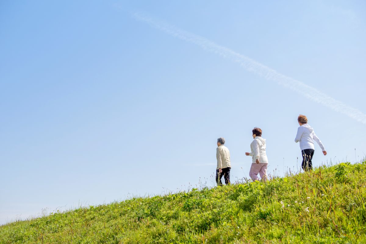 整理,家政婦,家事代行