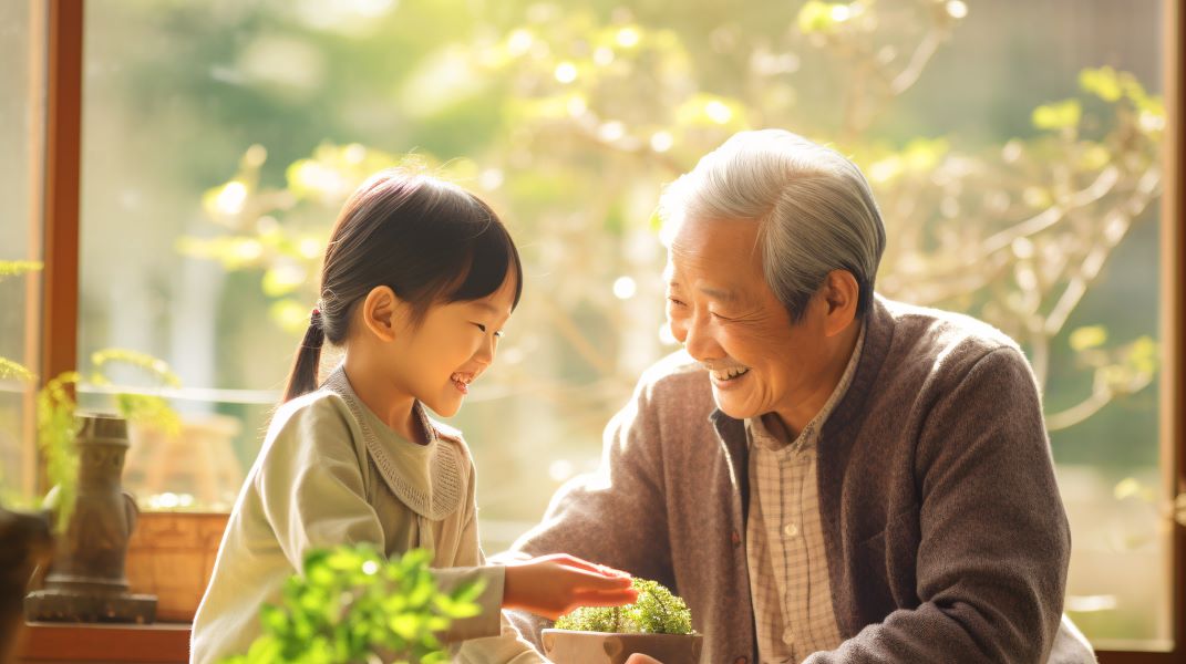 整理,家政婦,家事代行