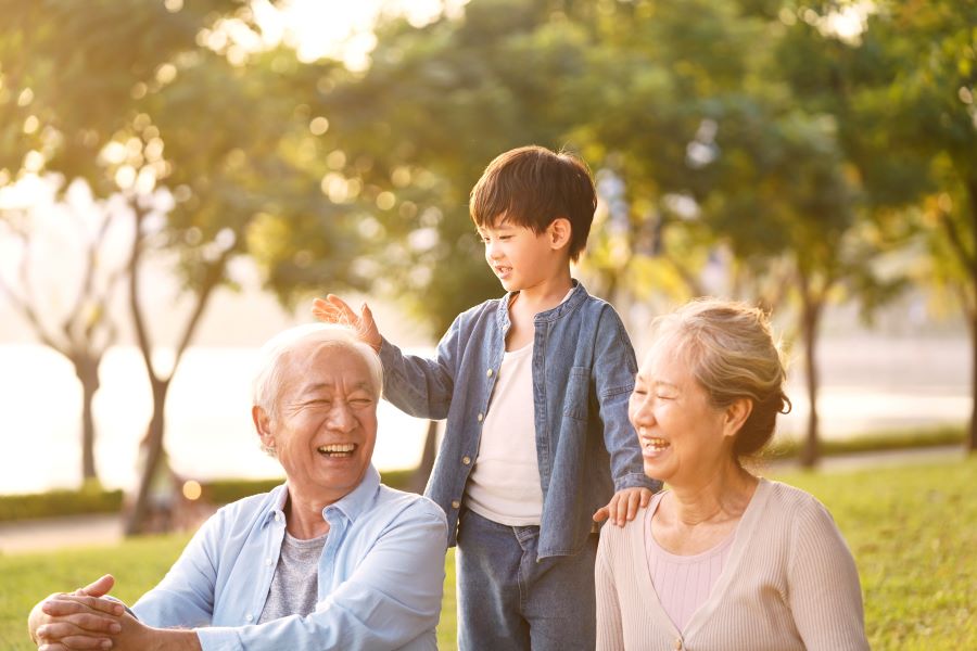 整理,家政婦,家事代行