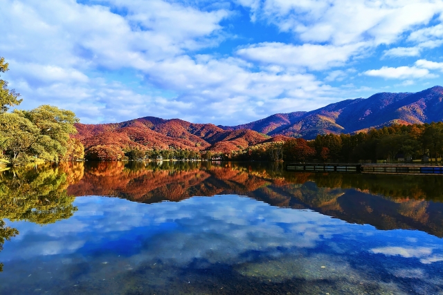 秋,家政婦,家事代行