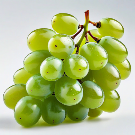 ブドウ,家政婦,家事代行