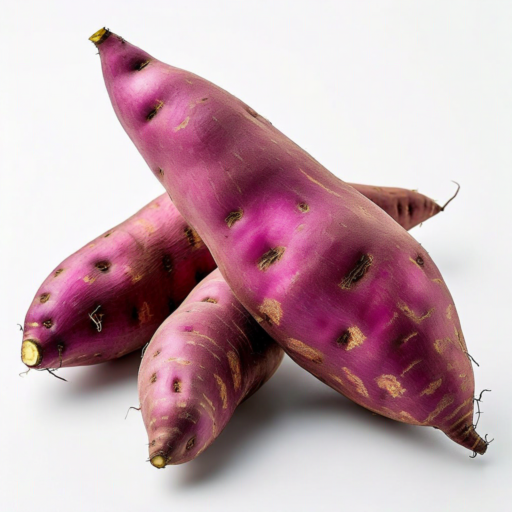 整理,家政婦,家事代行