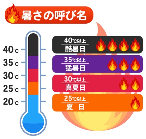 介護,家政婦,高齢者