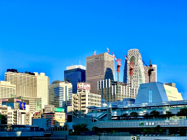 高齢者,東京,一人暮らし,介護,家政婦